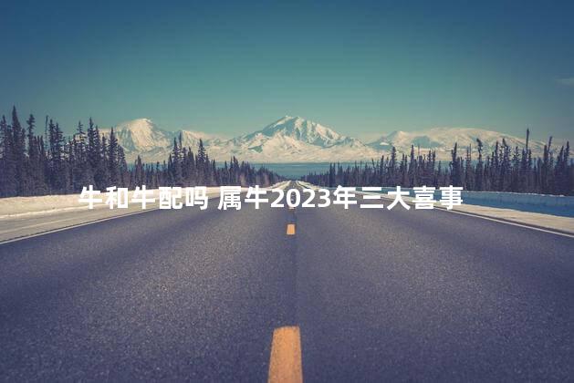 牛和牛配吗 属牛2023年三大喜事